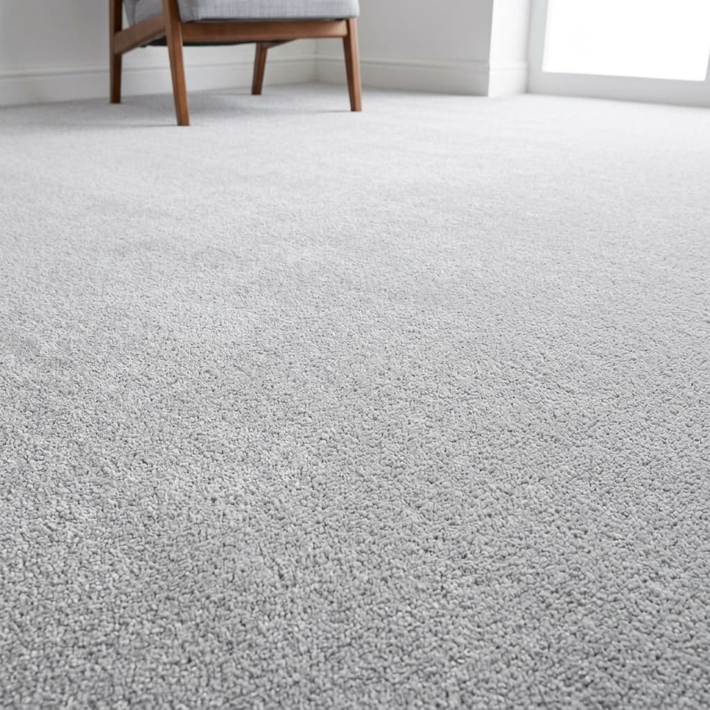 Cleaned Carpet