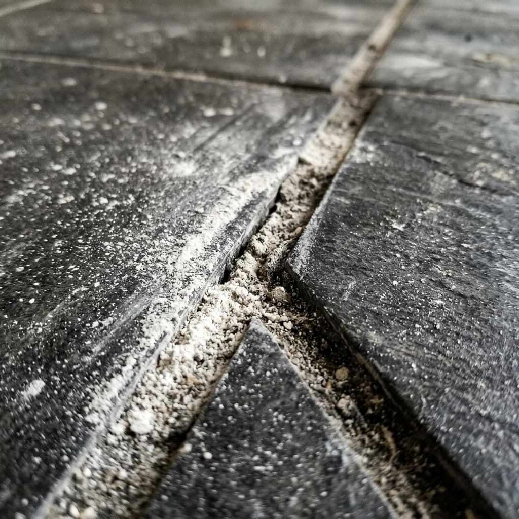 Construction dust trapped in tile grout lines