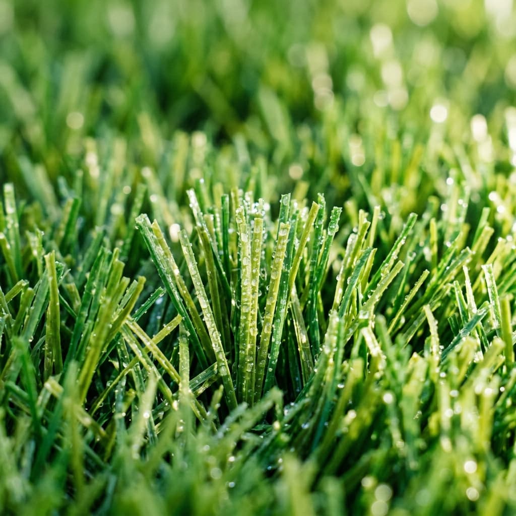 Artificial Turf Cleaning